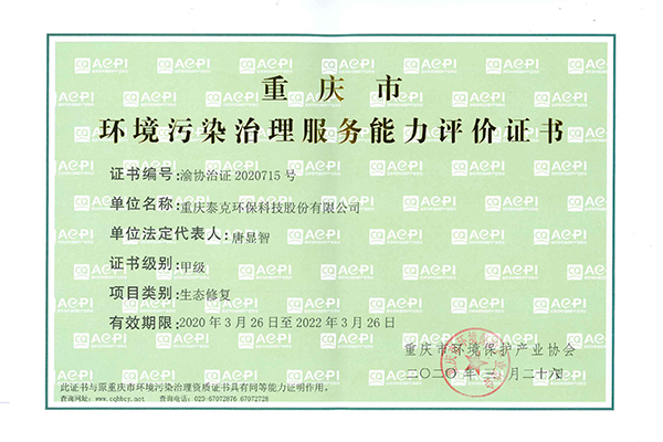 环境污染治理服务能力甲级评价证书